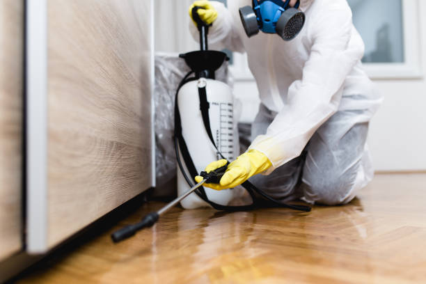 Best Pest Removal Services  in Sayre, OK