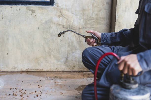 Best Pest Control for Homes  in Sayre, OK